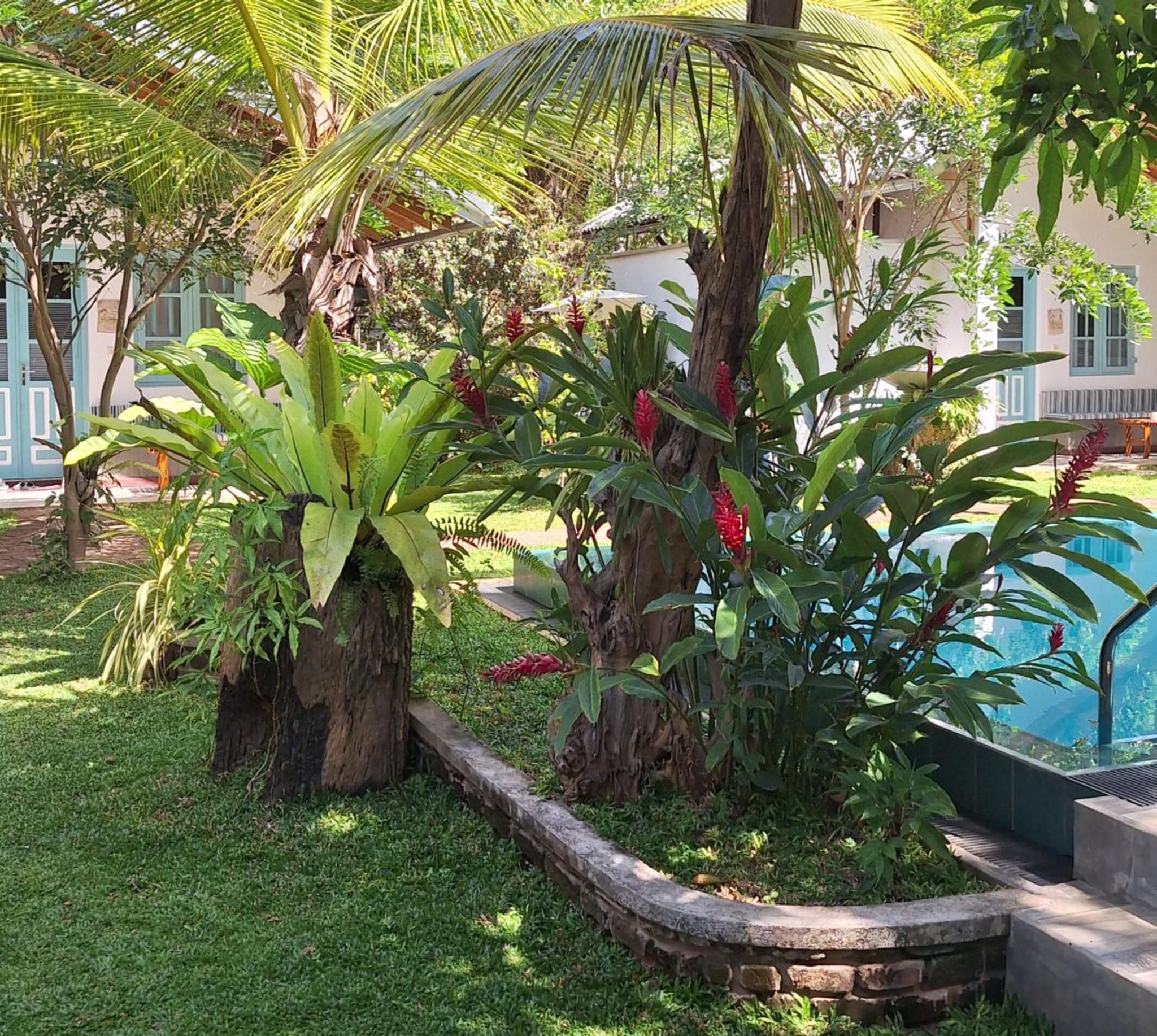 Kandalama Lodge