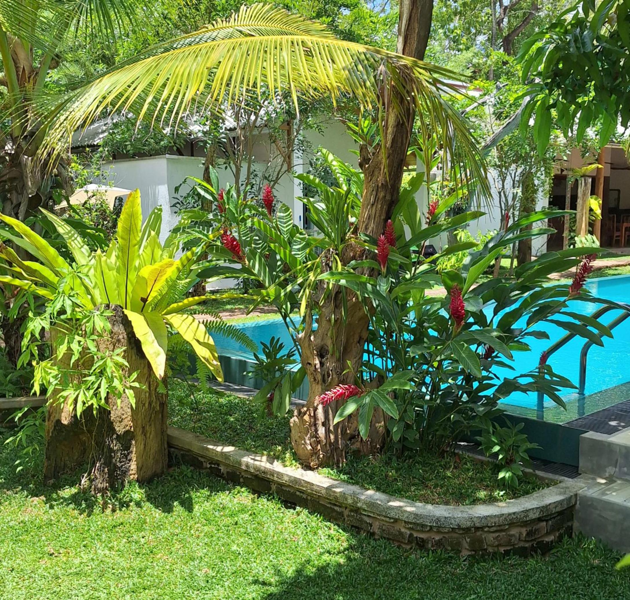 Kandalama Lodge