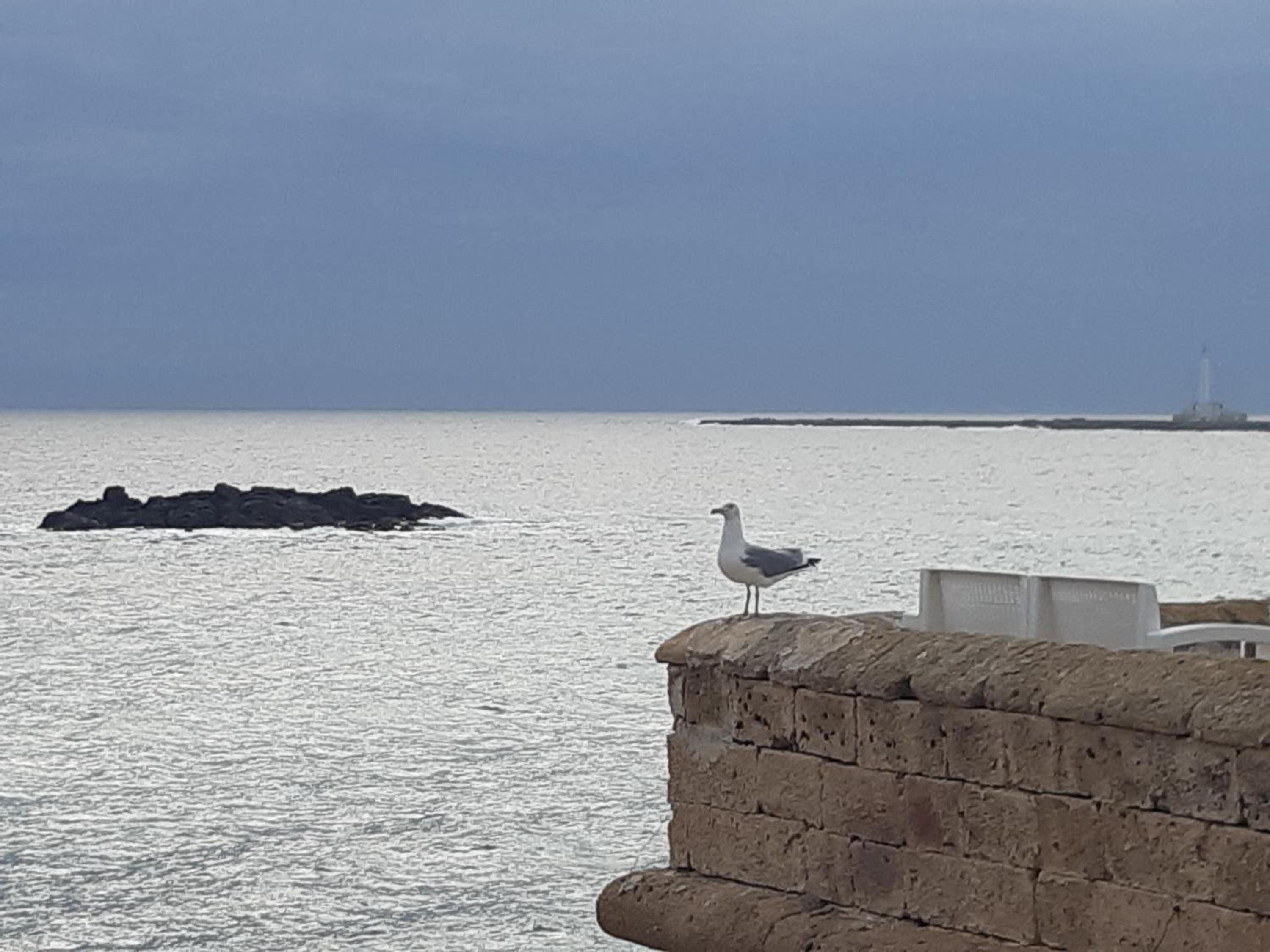 LA SEGRETA DEL CASTELLO, Private Access
