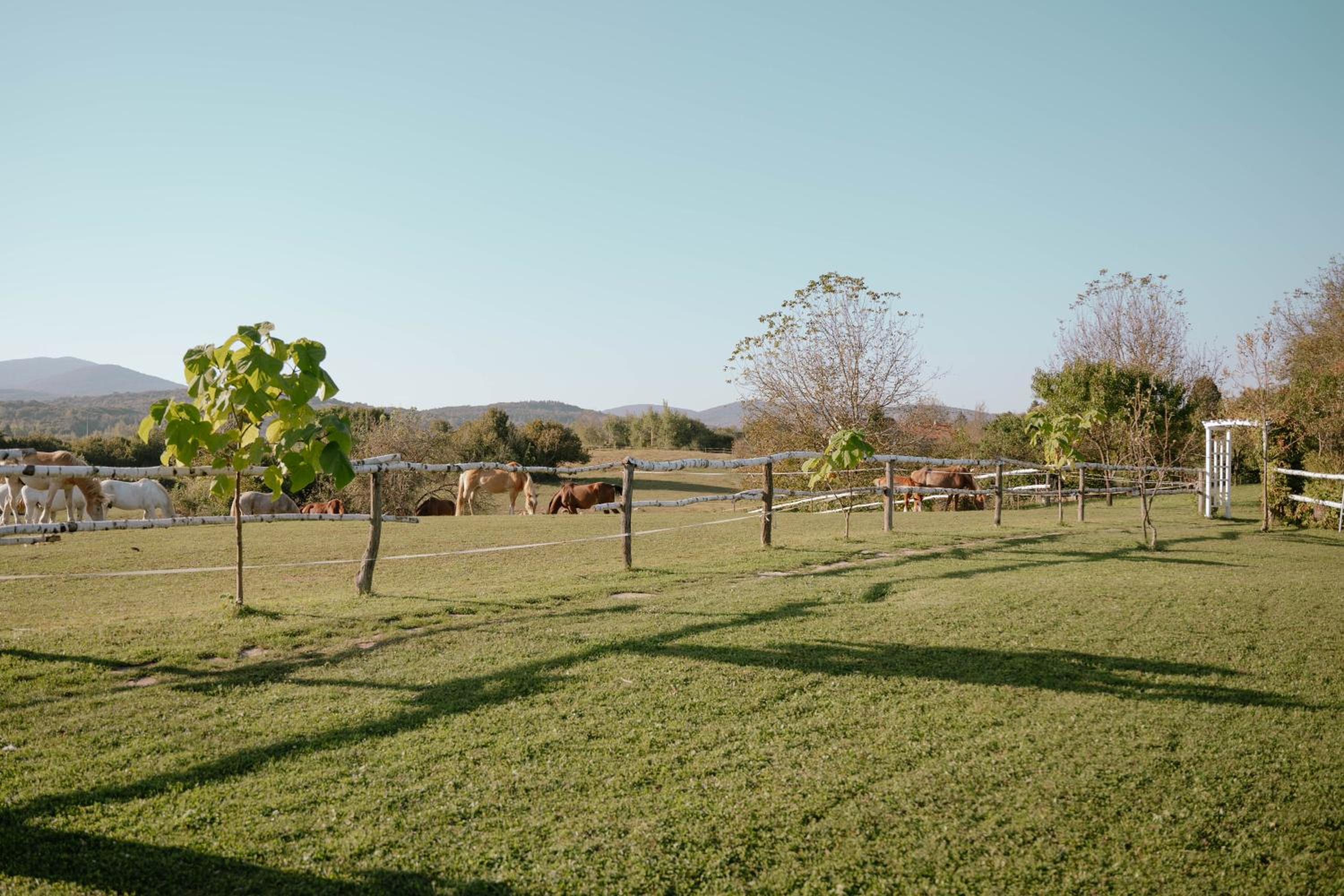 Ranch Terra