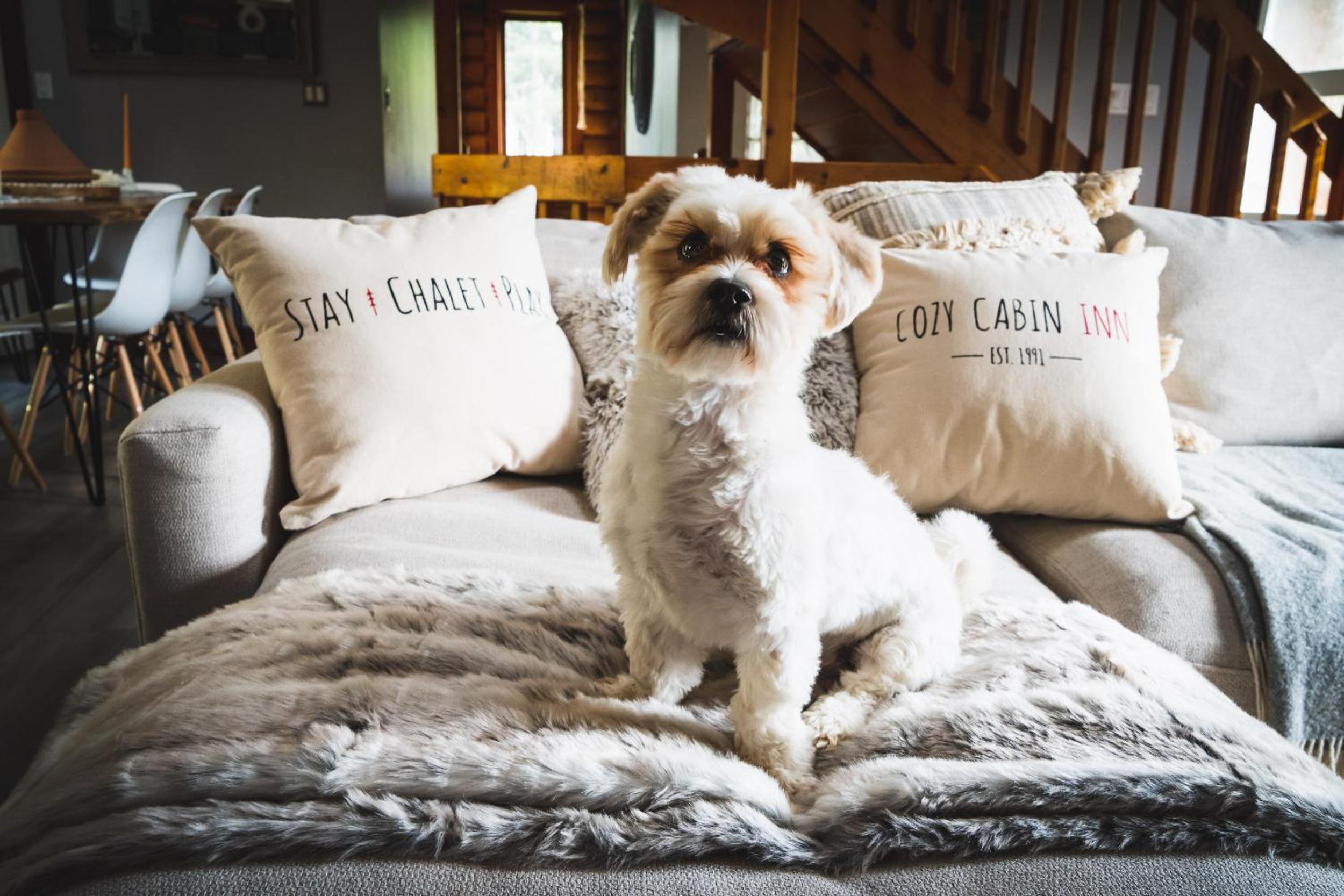 Cozy Cabin Inn