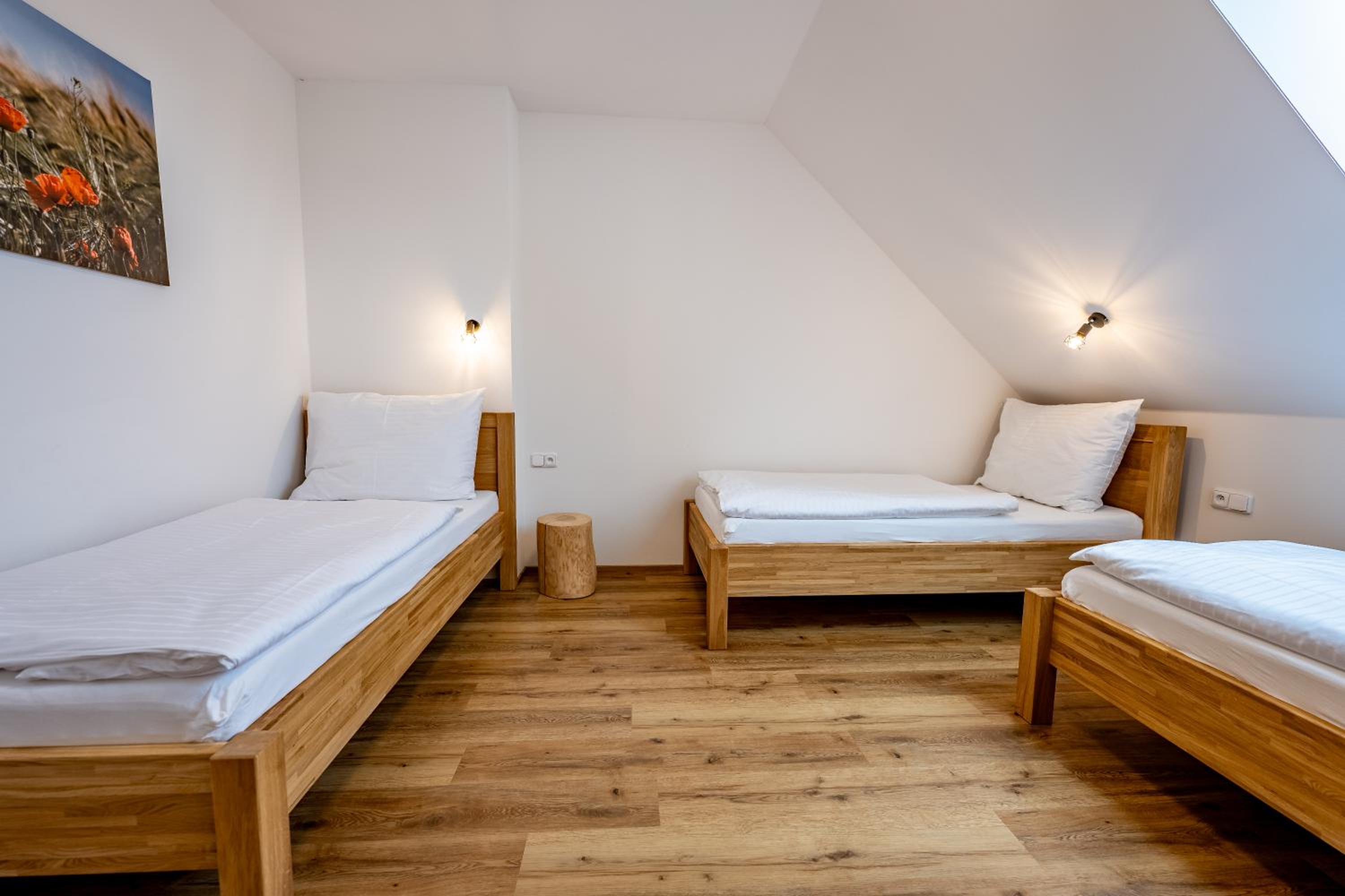 Wellness zoo apartmány Lhota