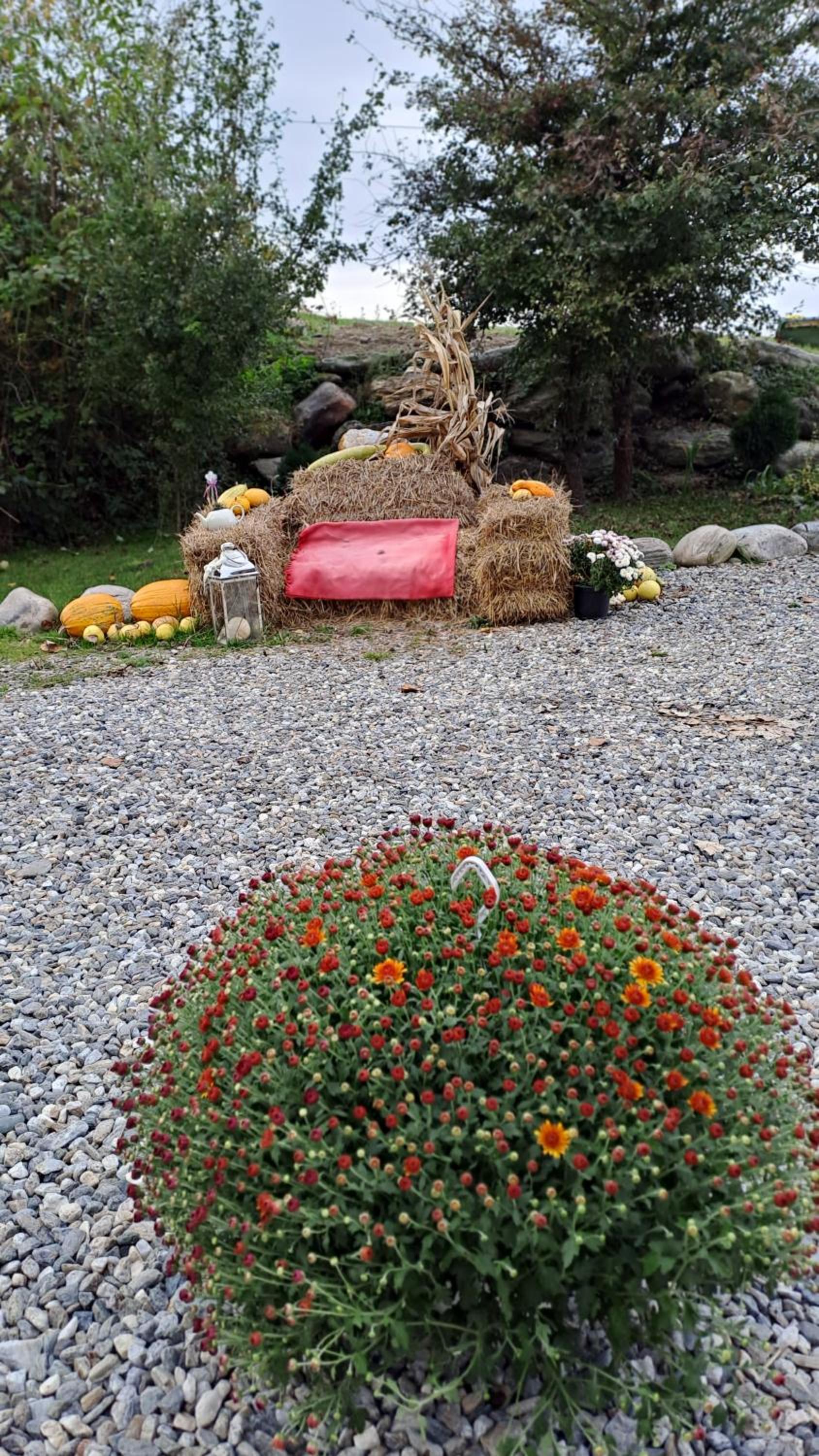 Vis Împlinit Transfăgărășan view 4