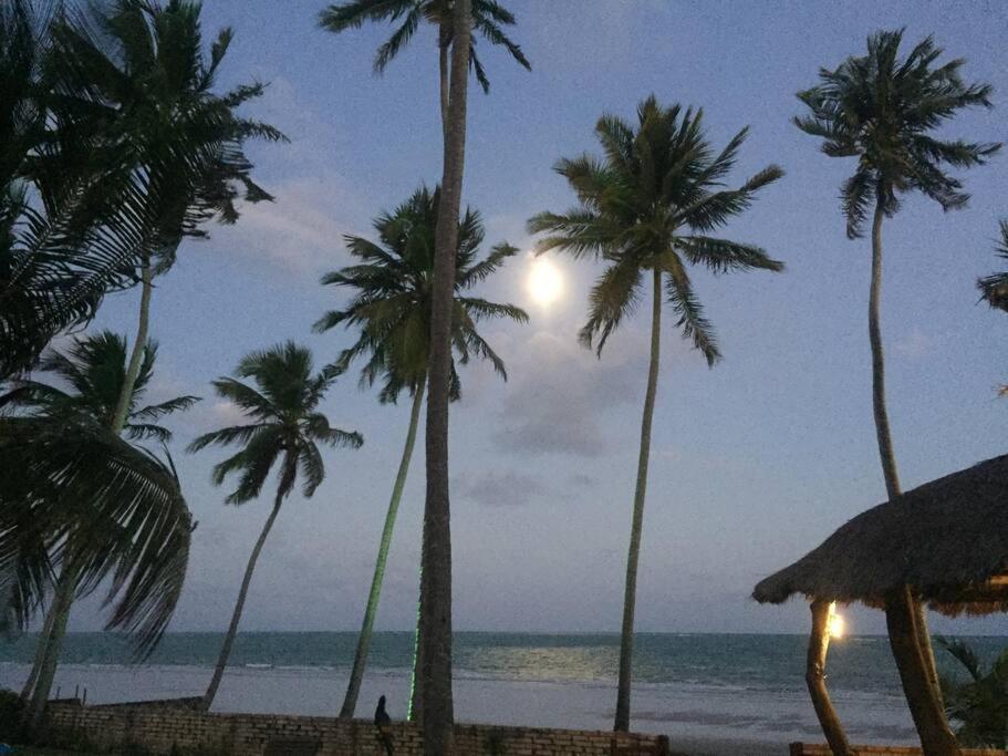 Maravilhoso chalé num paraíso em Japaratinga