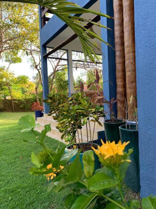 Maravilhoso chalé num paraíso em Japaratinga