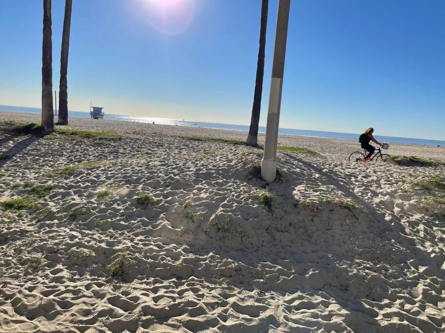 House on The Beach