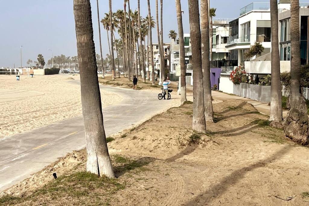House on The Beach
