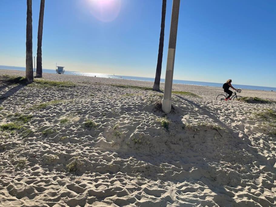House on The Beach