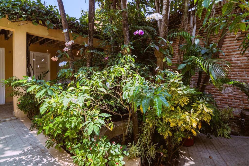 The Boho Chic Suite Getsemaní