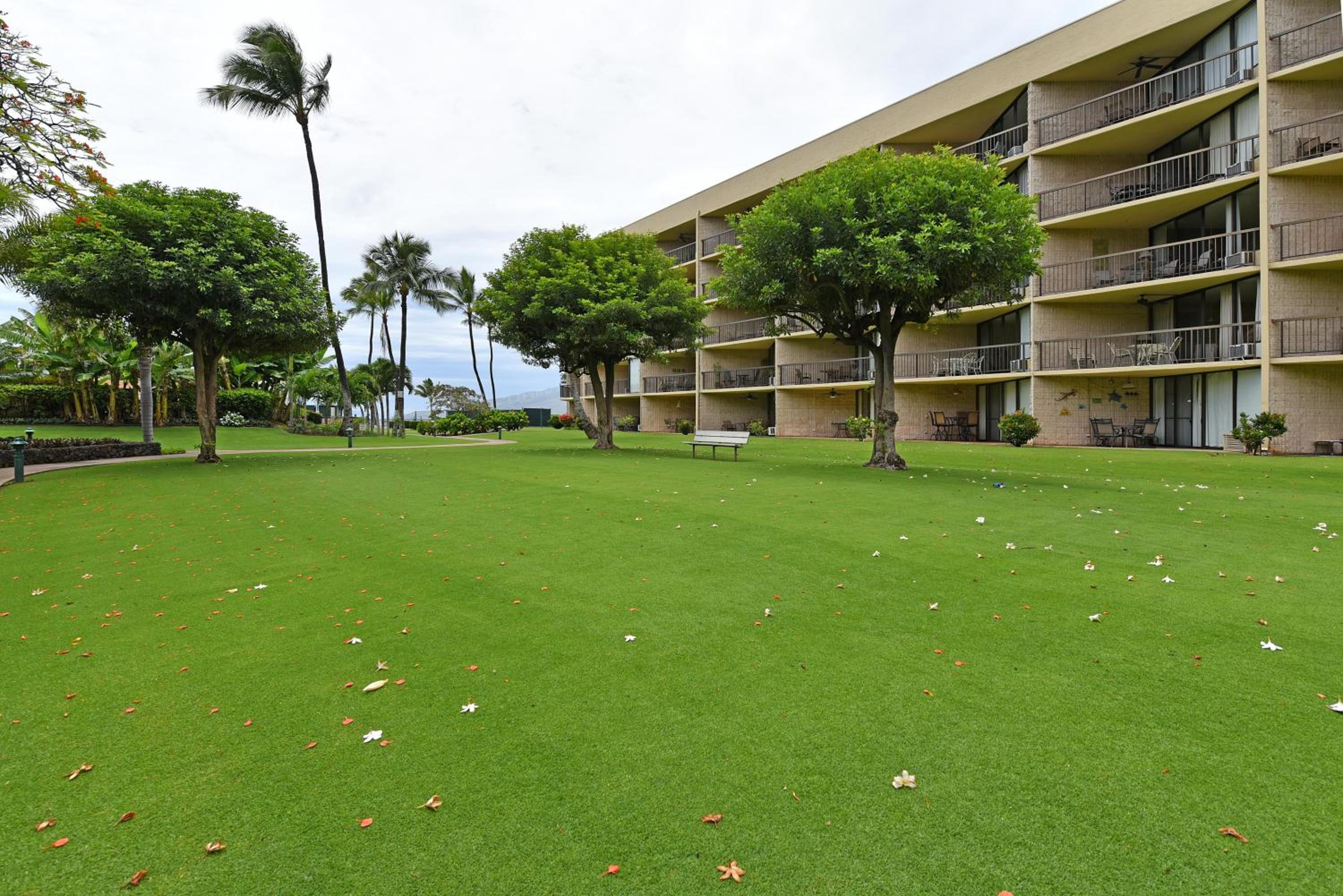 Maui Sunset B402 · MSNB402 OceanFront 1Bedroom Getaway w Pool