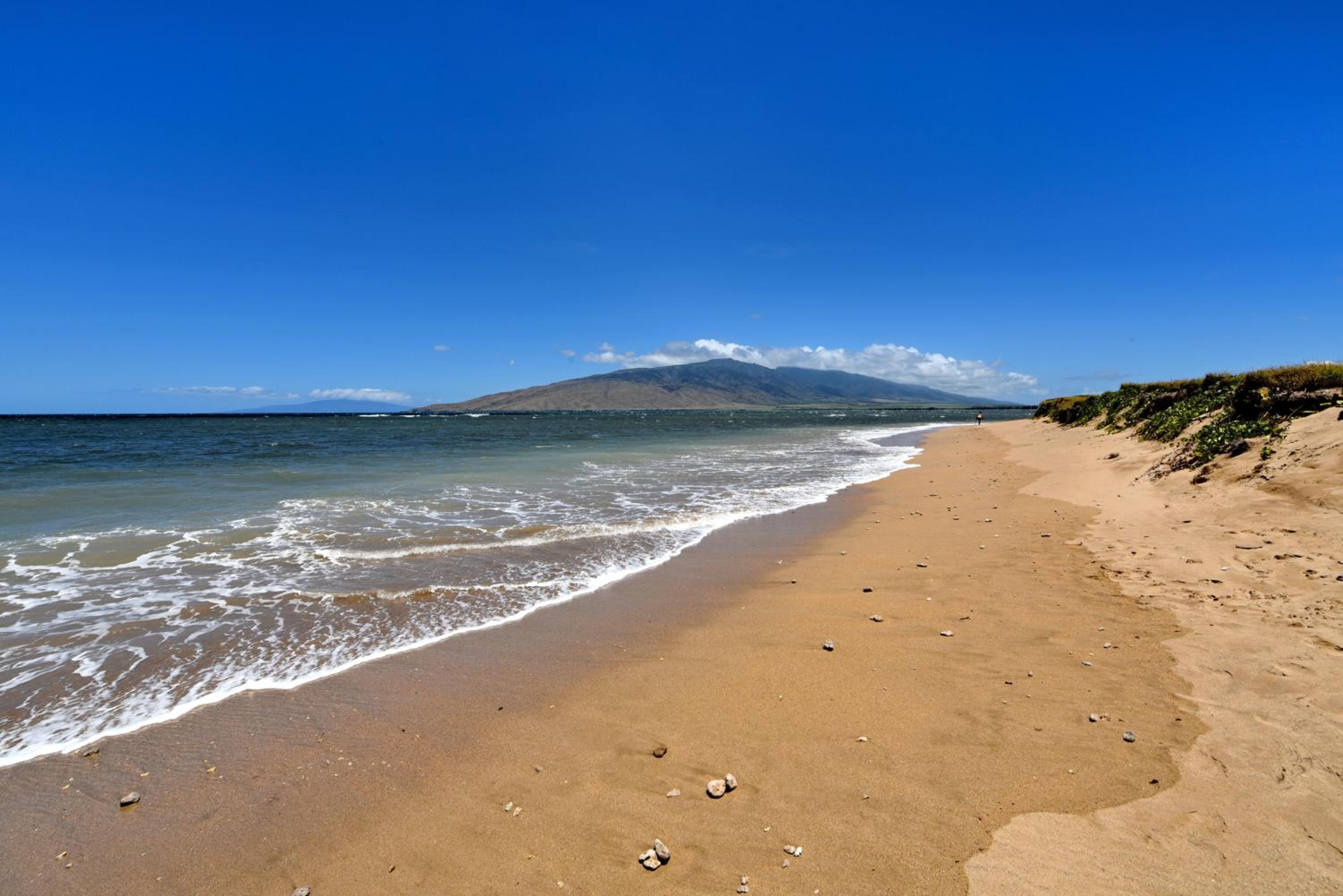 Maui Sunset B402 · MSNB402 OceanFront 1Bedroom Getaway w Pool