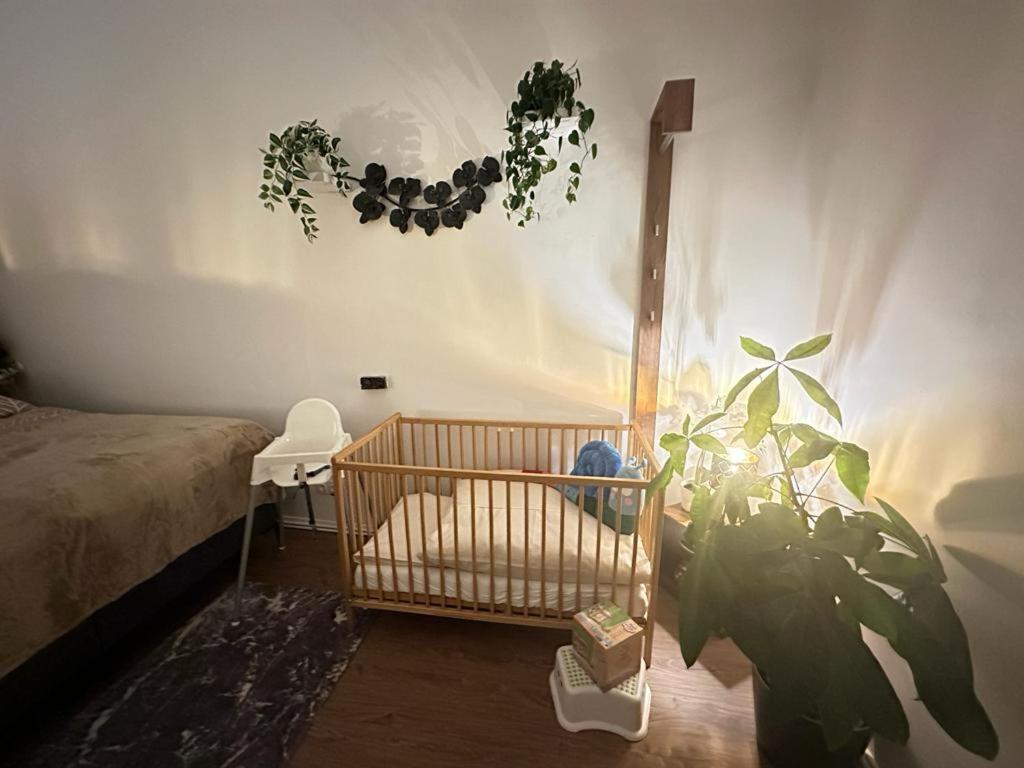 Ferienwohnung Marion Klagenfurt zentrumsnähe