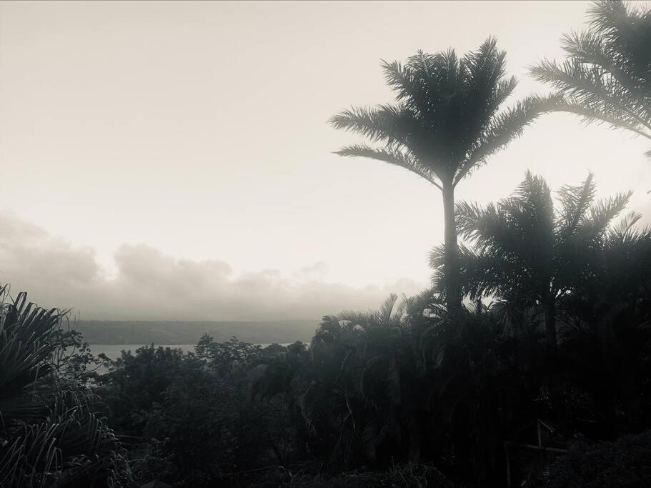 Lake Arenal Killer View Villa