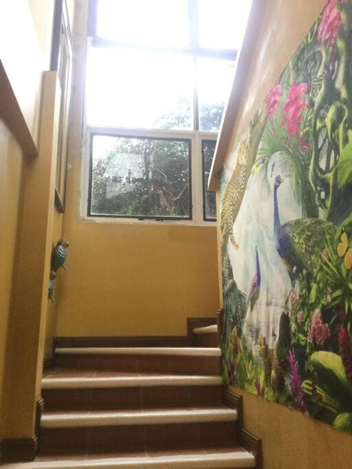 Lake Arenal Killer View Villa