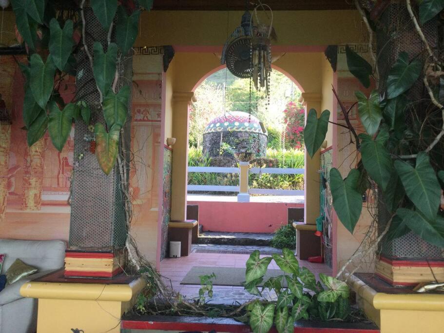 Lake Arenal Killer View Villa