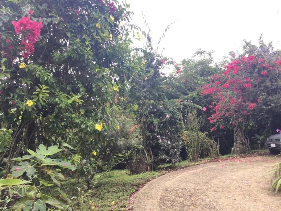 Lake Arenal Killer View Villa