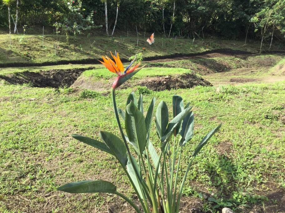 Lake Arenal Killer View Villa