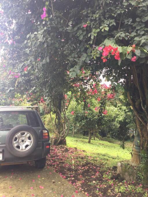Lake Arenal Killer View Villa
