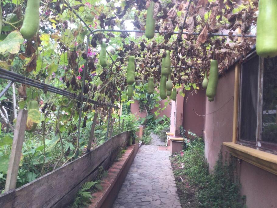 Lake Arenal Killer View Villa