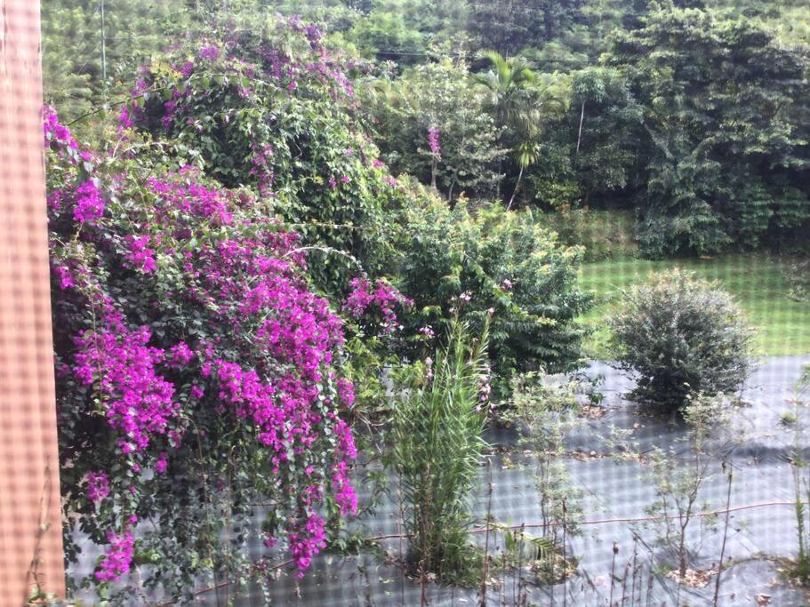 Lake Arenal Killer View Villa