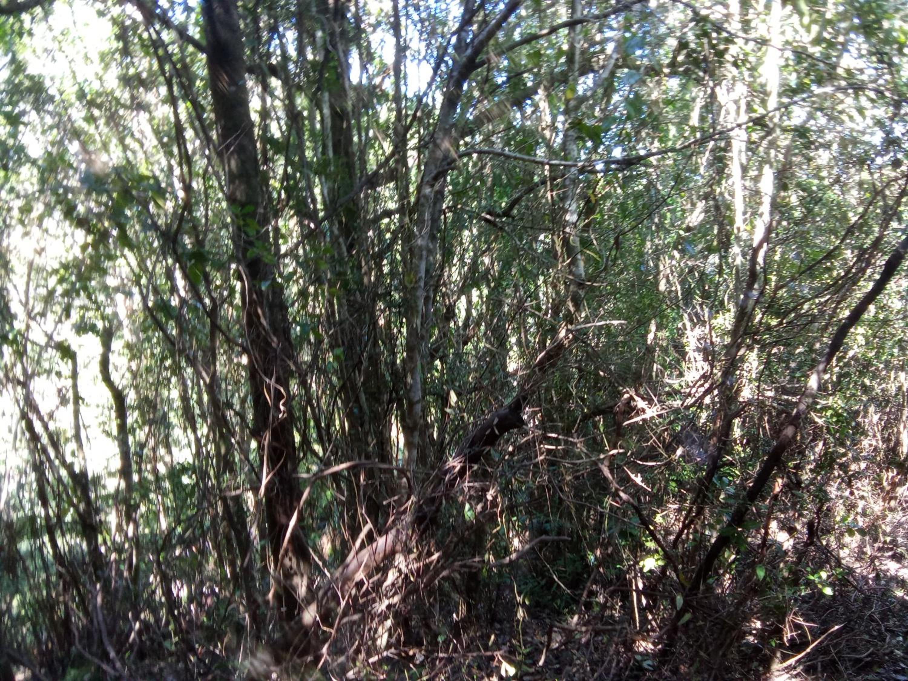 Refugio y Tinaja Curiñanco