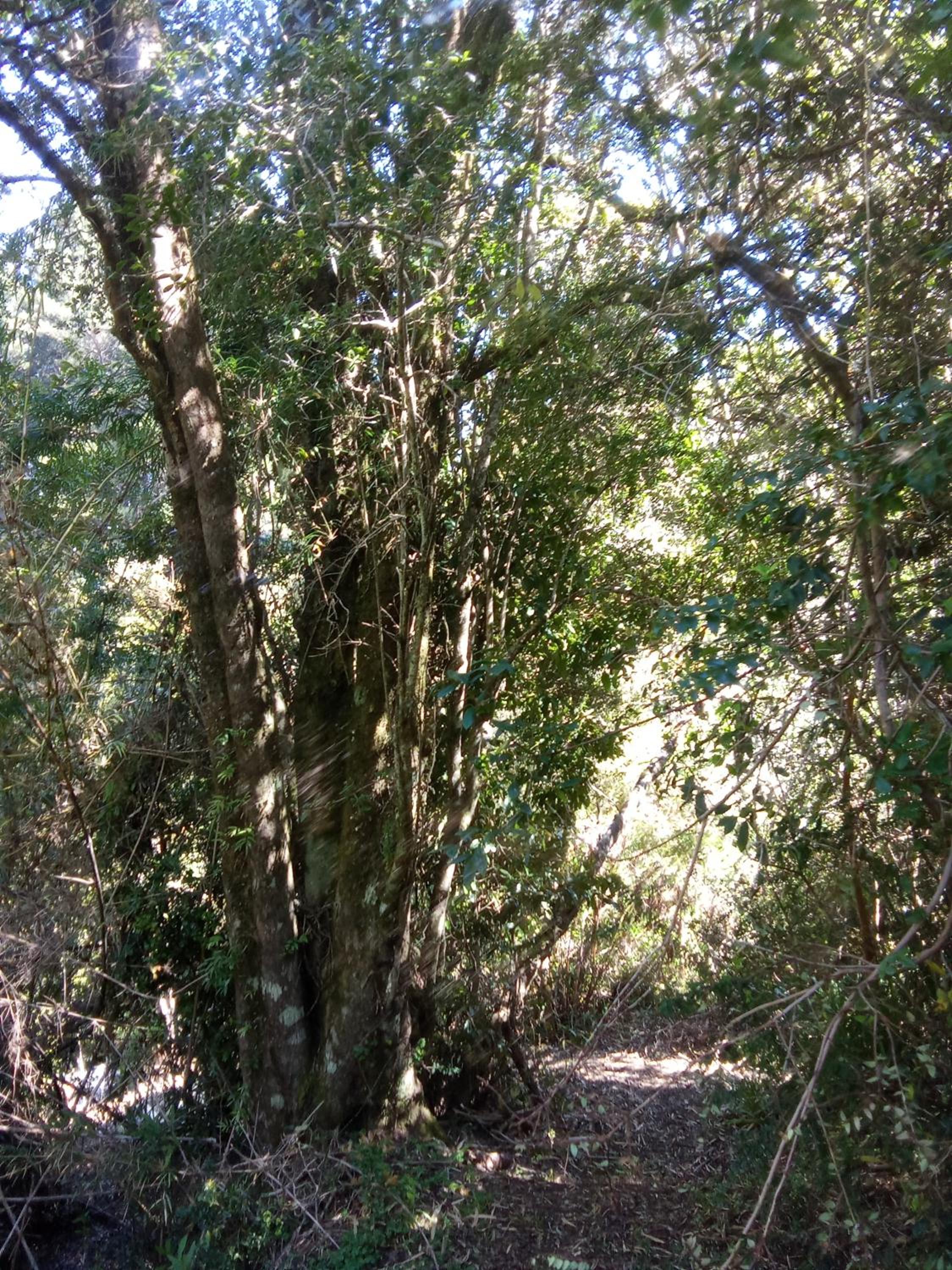 Refugio y Tinaja Curiñanco