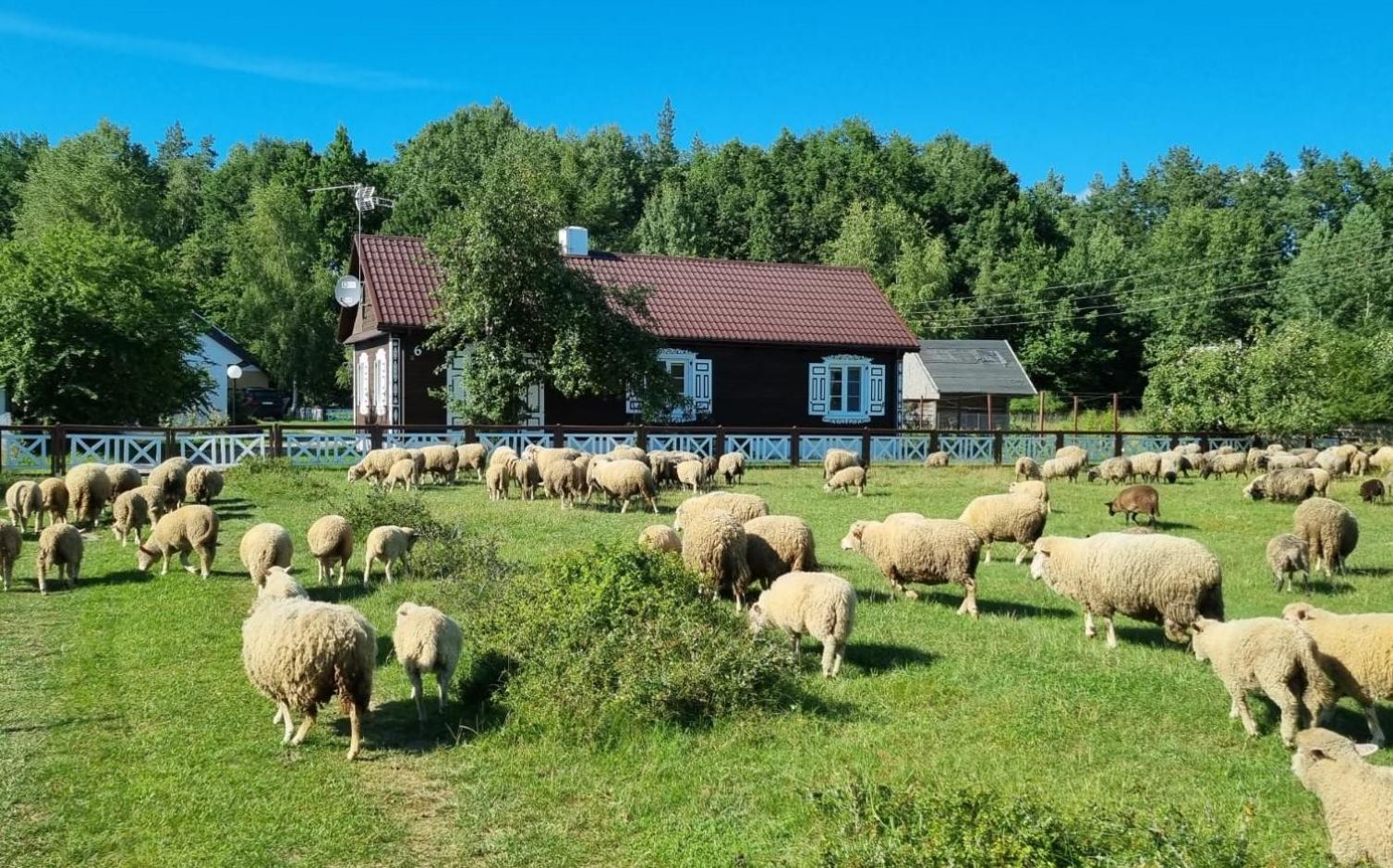 Podlaski Zakątek view 5