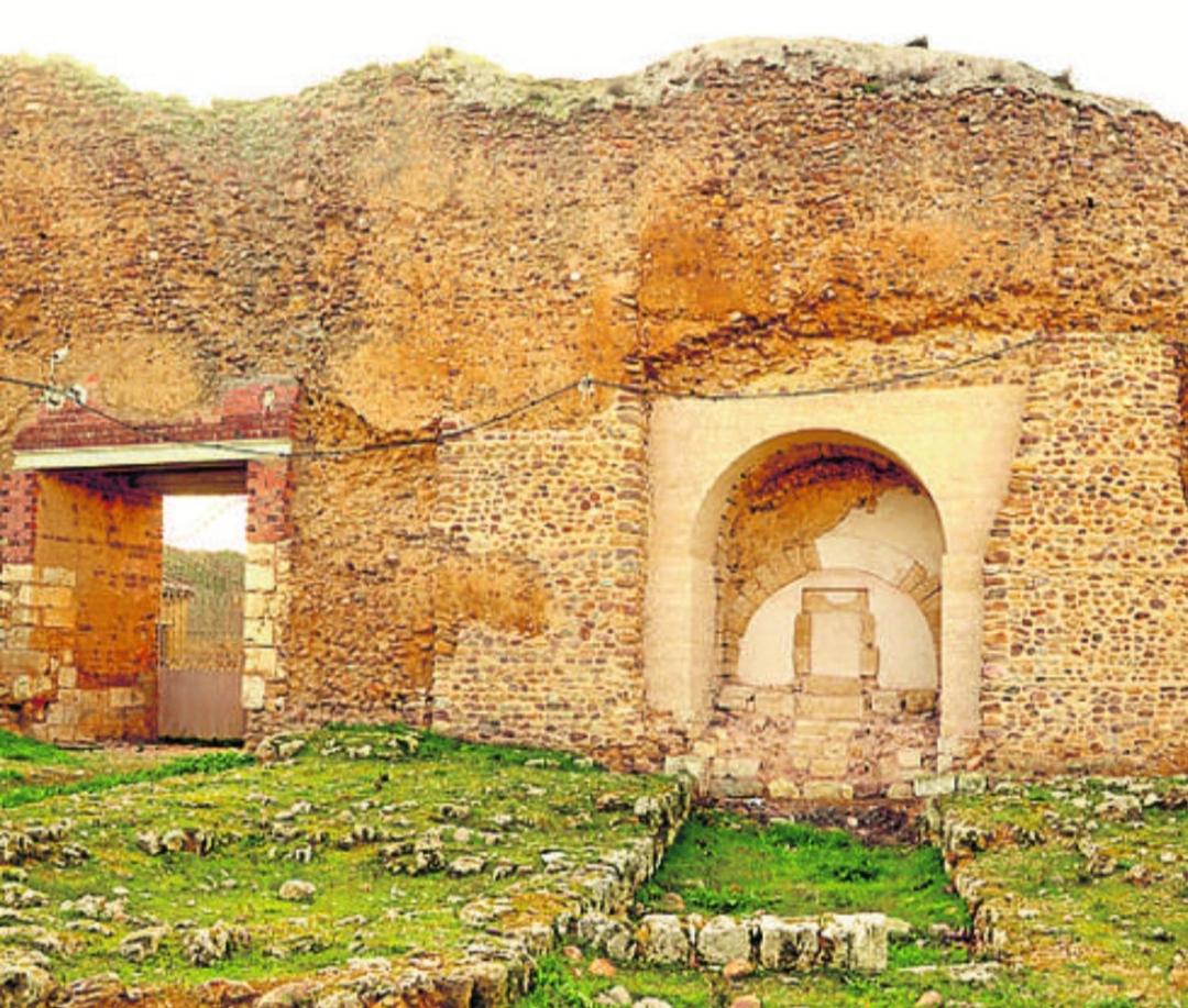 El Colibrí de Taraza