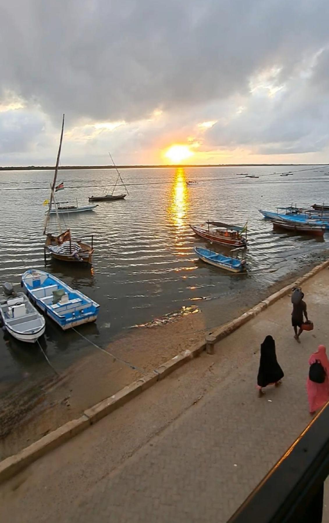 Photo 50