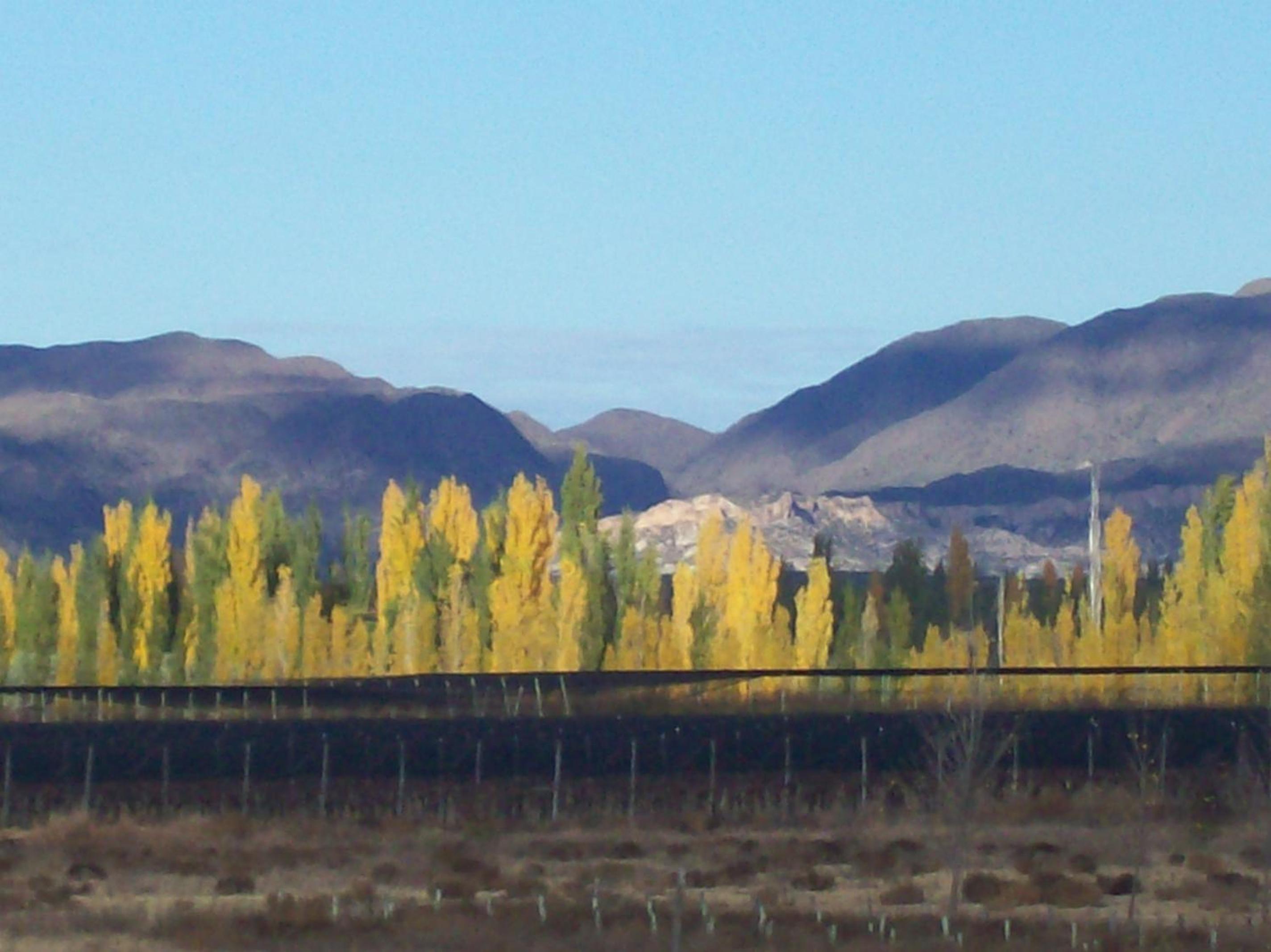 Posada San Vicente
