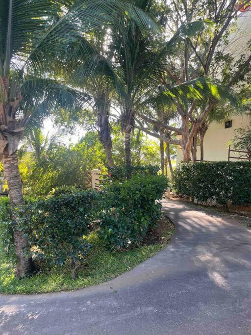 Beautiful beach front entire condo