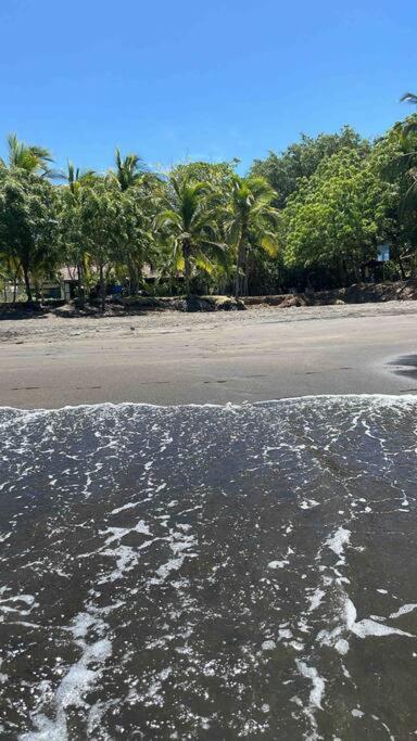 Beautiful beach front entire condo