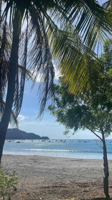 Beautiful beach front entire condo