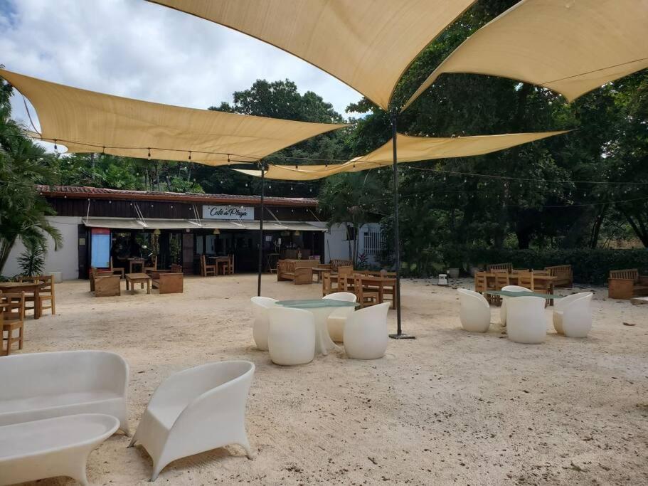 Beautiful beach front entire condo