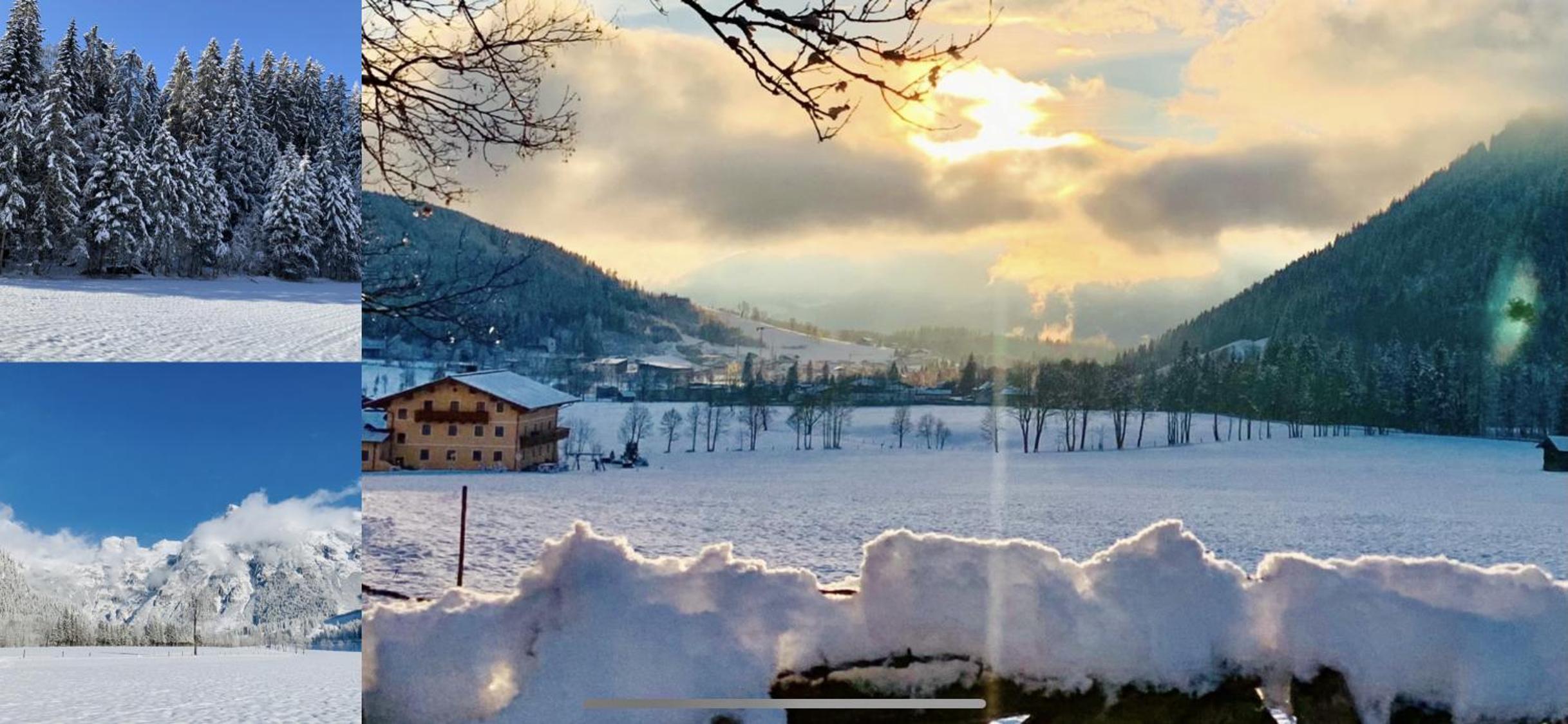 Alpen Appartements Oberlehengut - keine Haustiere - allergikerfreundlich
