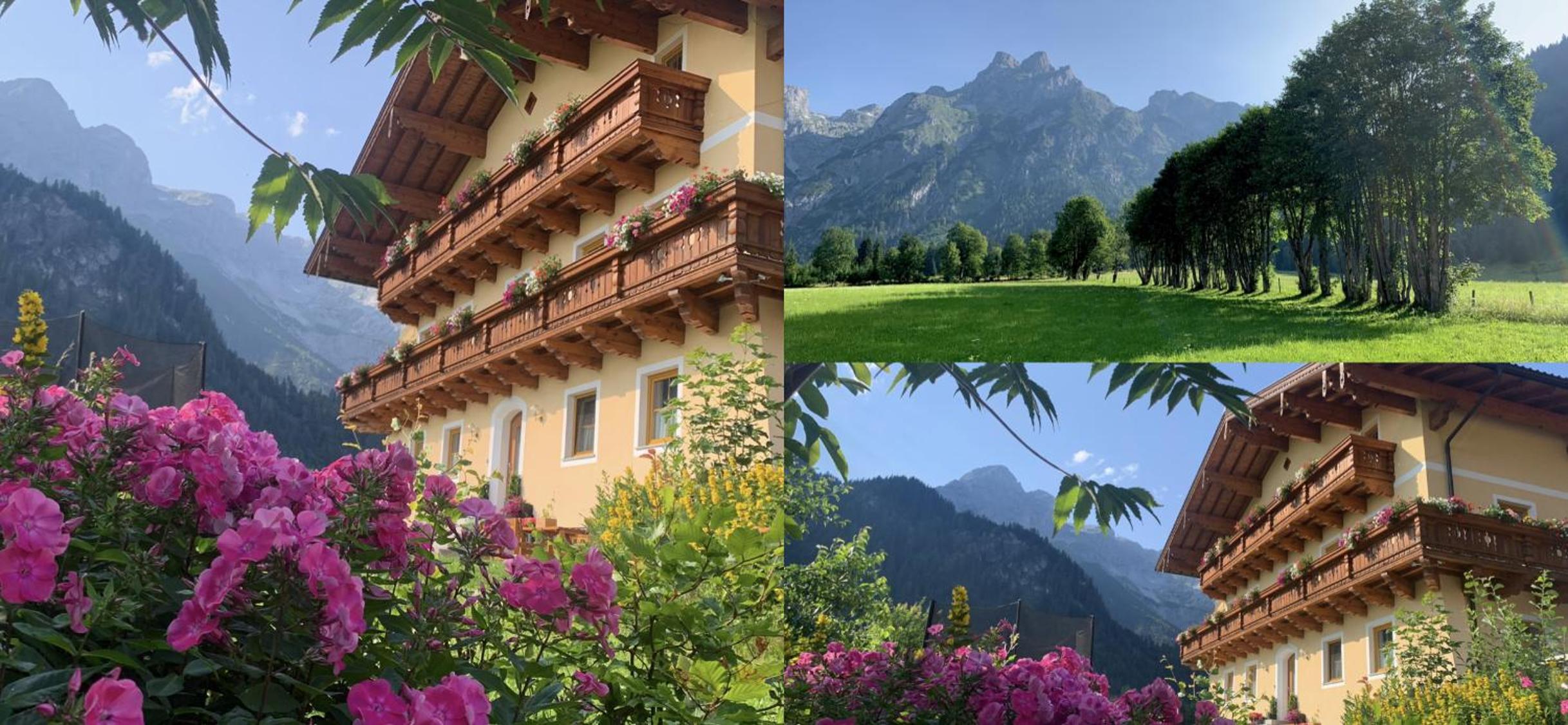Alpen Appartements Oberlehengut - keine Haustiere - allergikerfreundlich