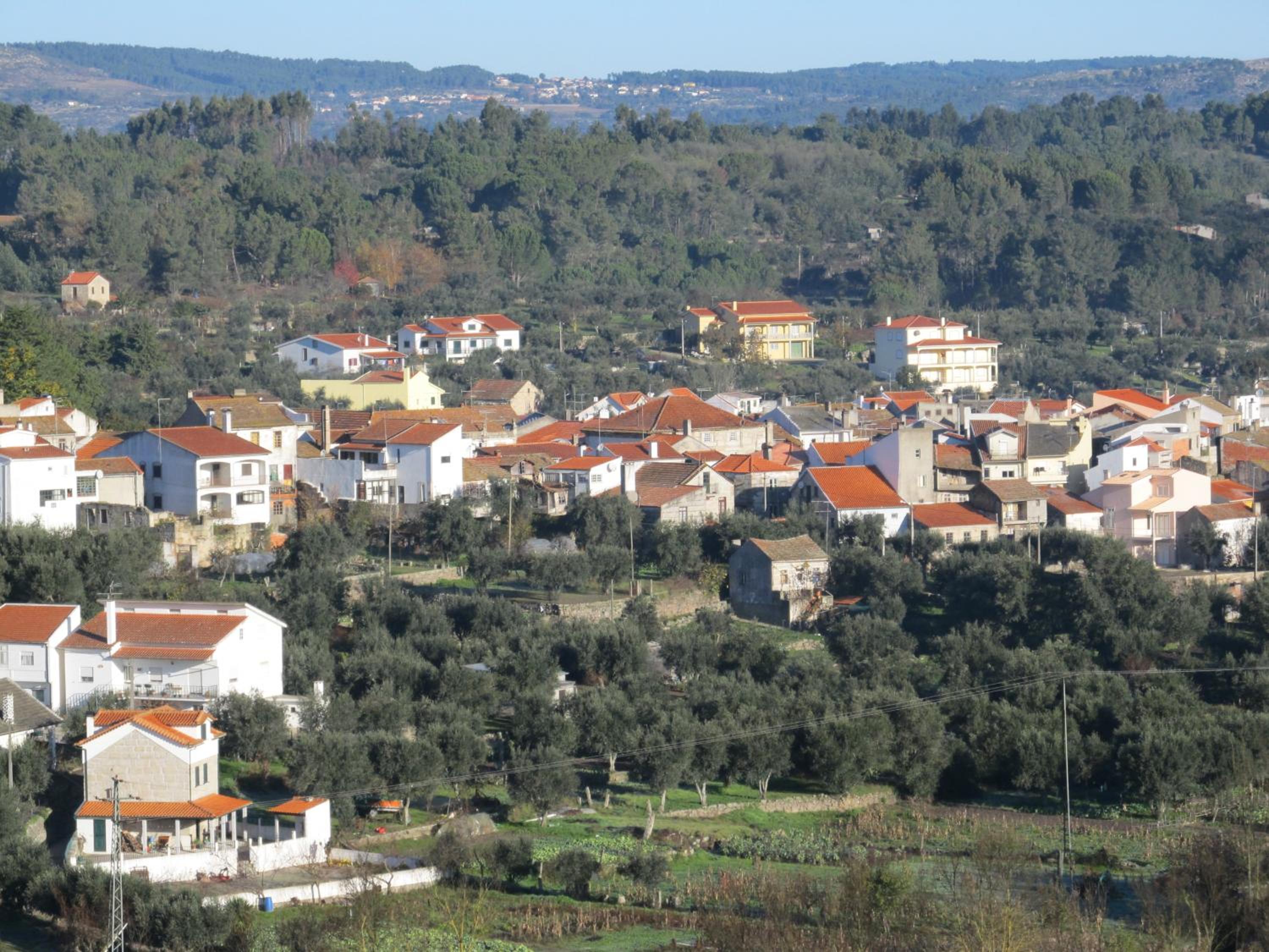 Photo 45
