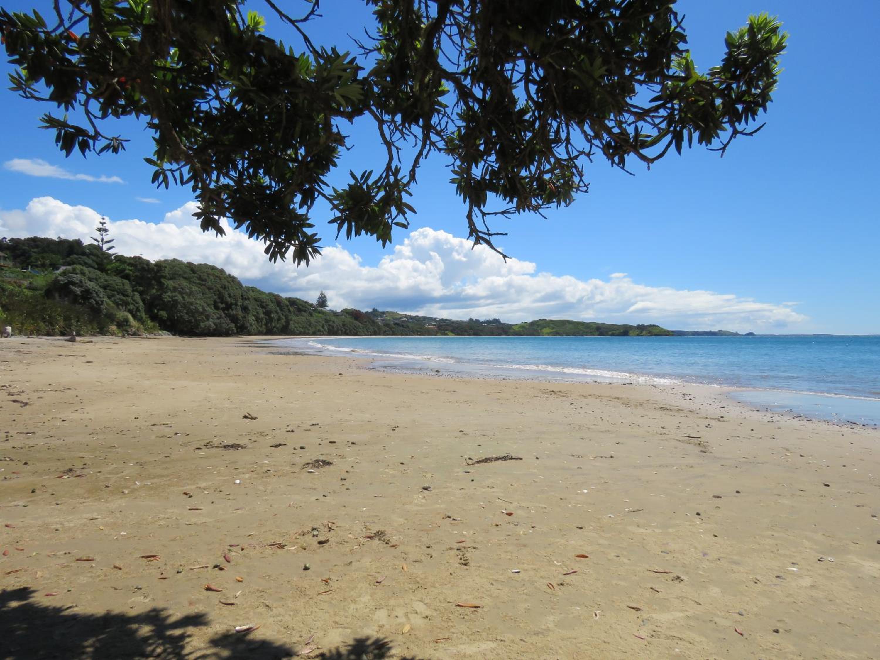 Kotare Kottage - Beachfront Escape