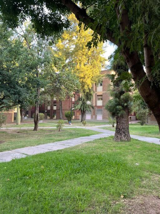 A pleno Mendoza City