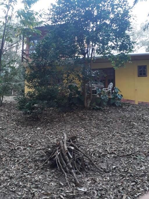 Casa Amarela, Refúgio na natureza Rota do vinho
