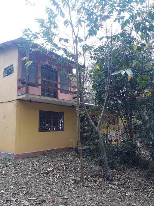 Casa Amarela, Refúgio na natureza Rota do vinho