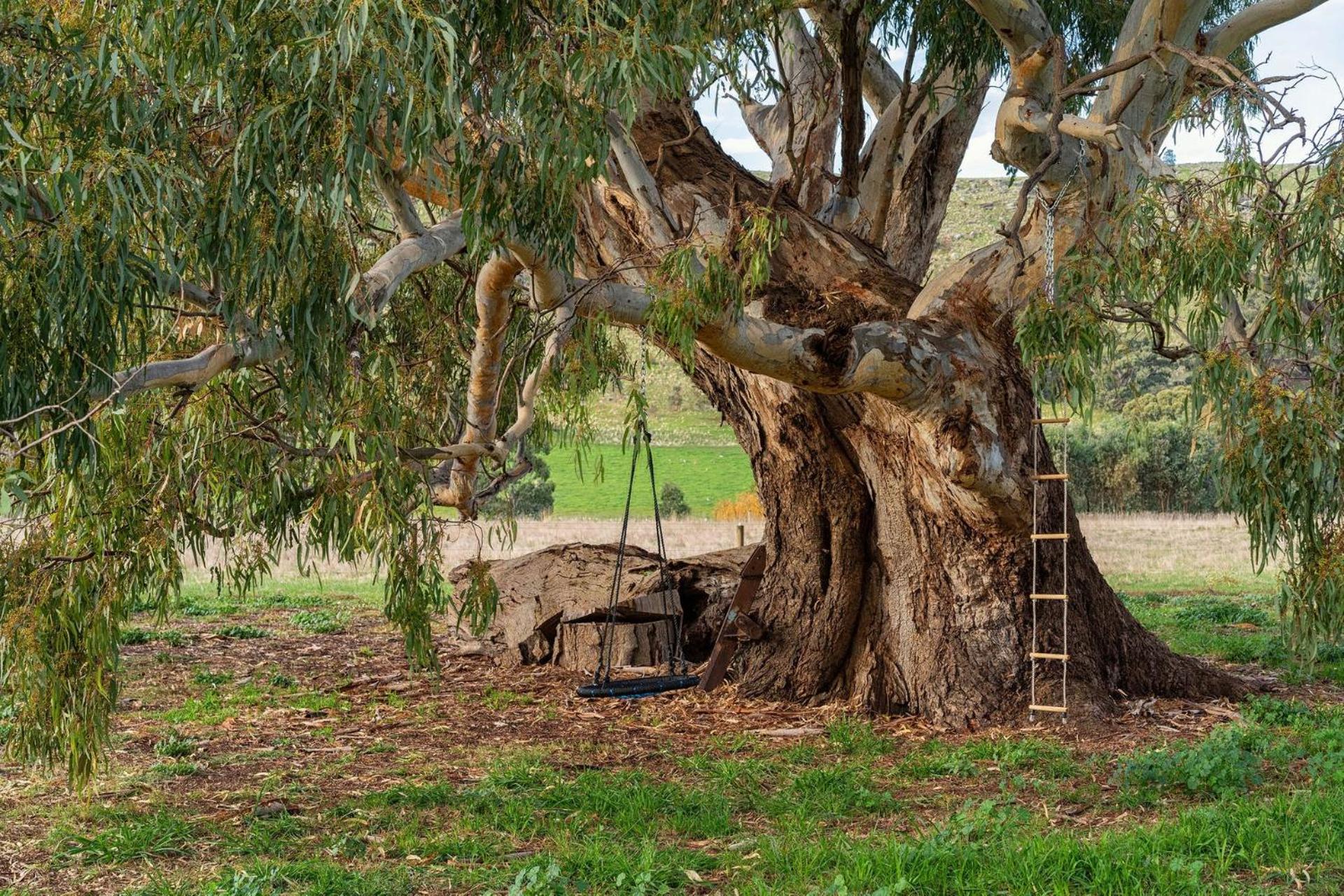 Koolbury Cottage. Farmstay Valley Retreat