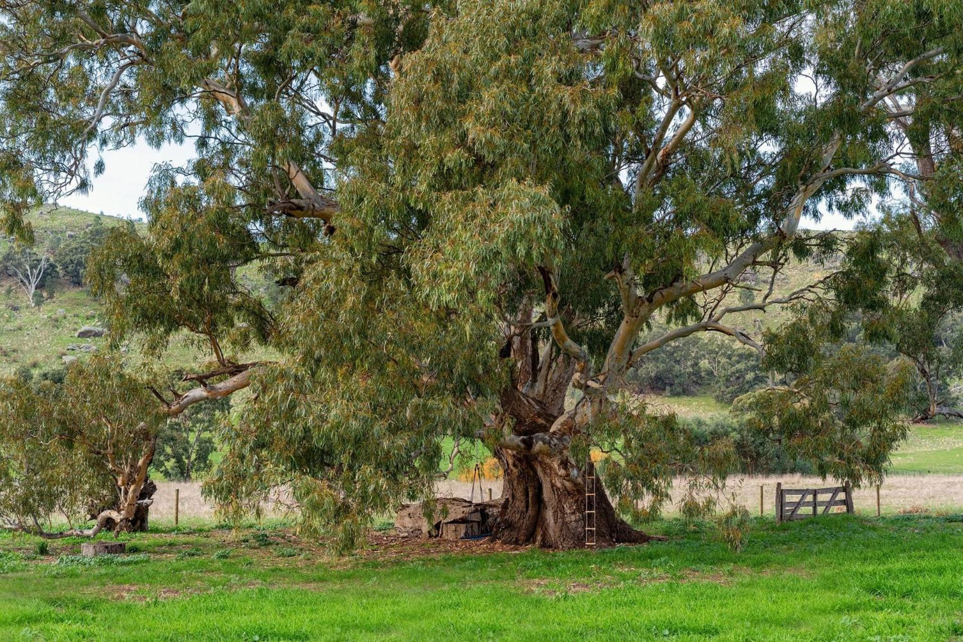 Koolbury Cottage. Farmstay Valley Retreat