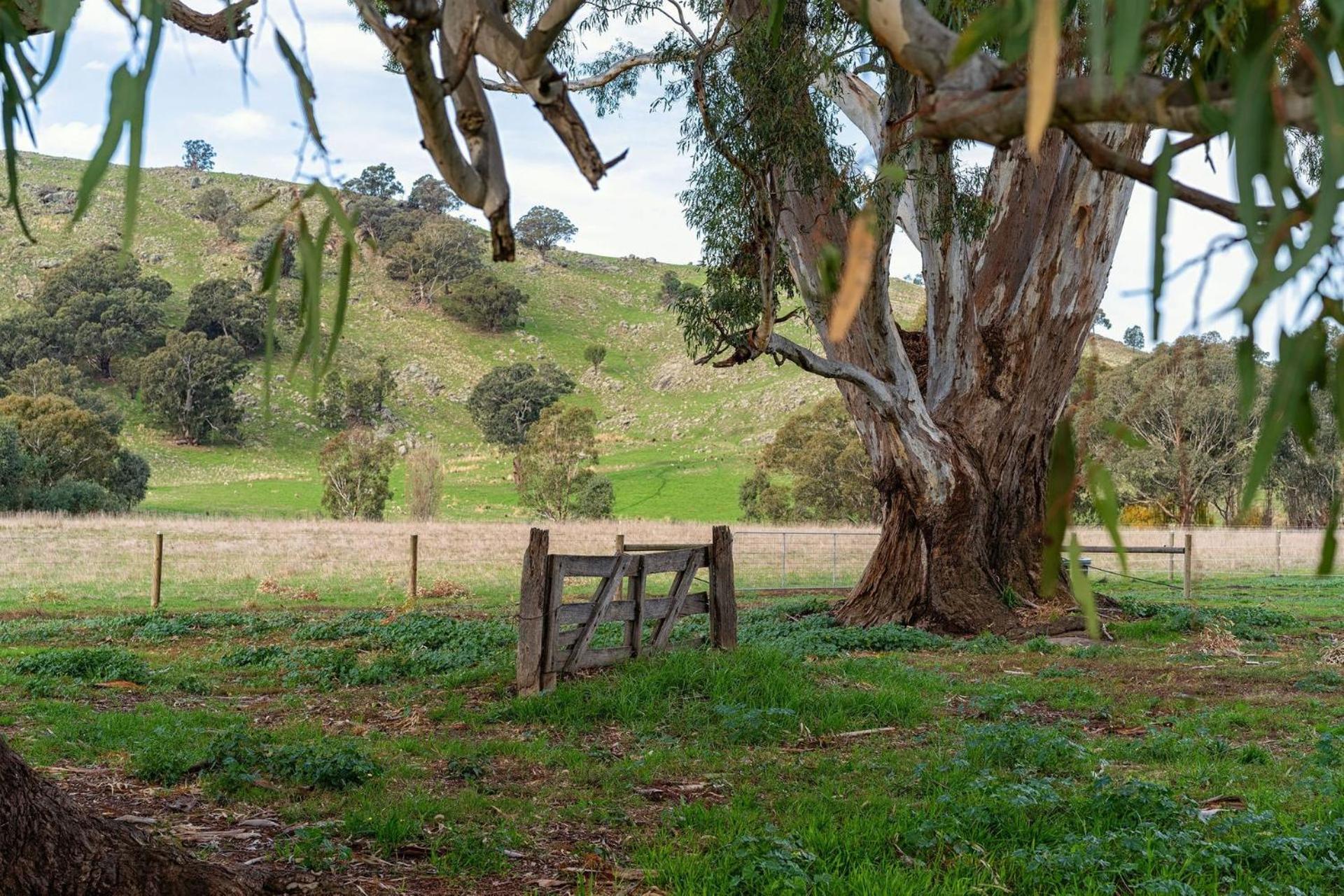 Koolbury Cottage. Farmstay Valley Retreat