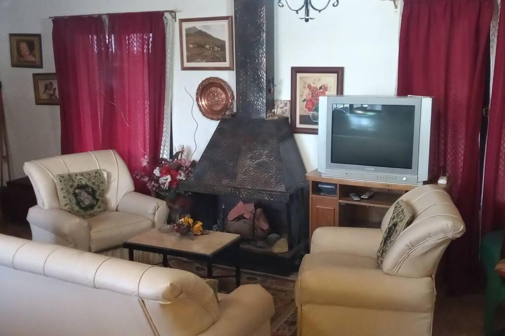 Cabaña hogareña con bajada a arroyo.