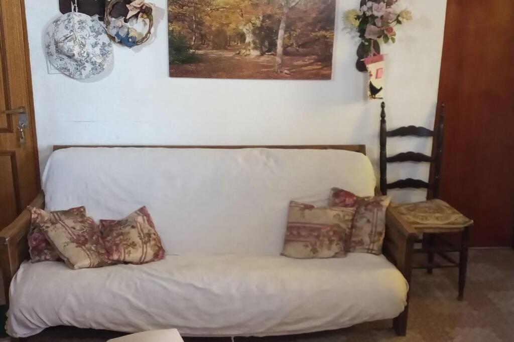 Cabaña hogareña con bajada a arroyo.