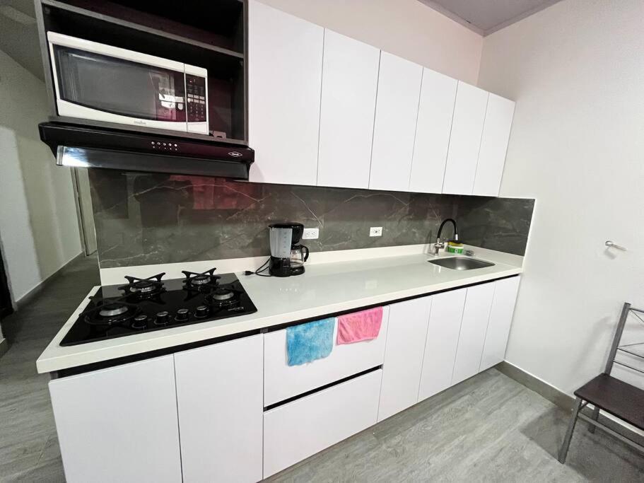 Moderno y cómodo apartamento 201