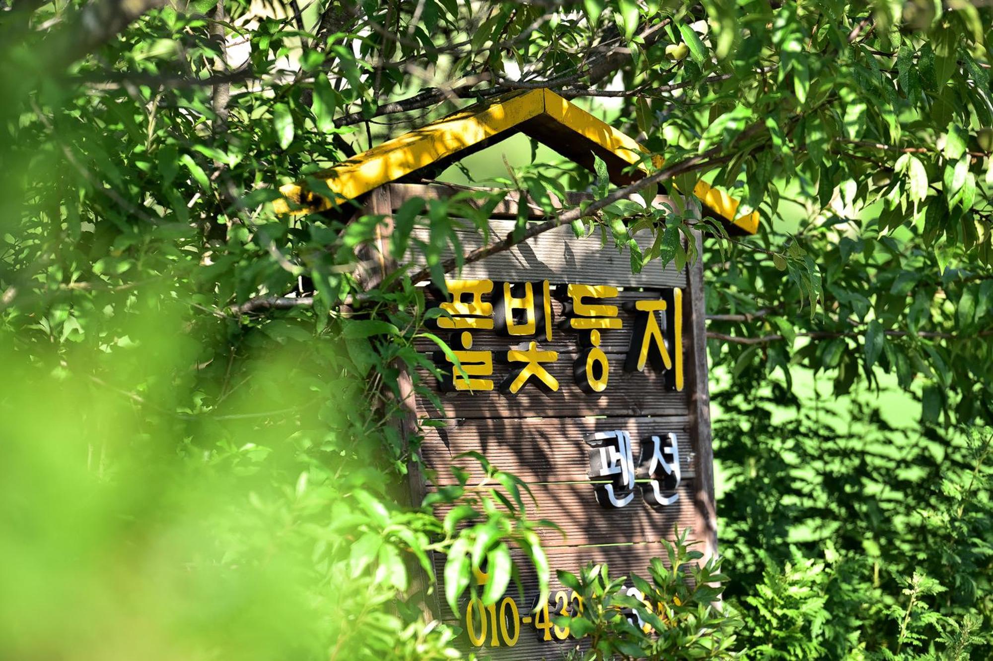 Yangyang Pulbit Pension view 2