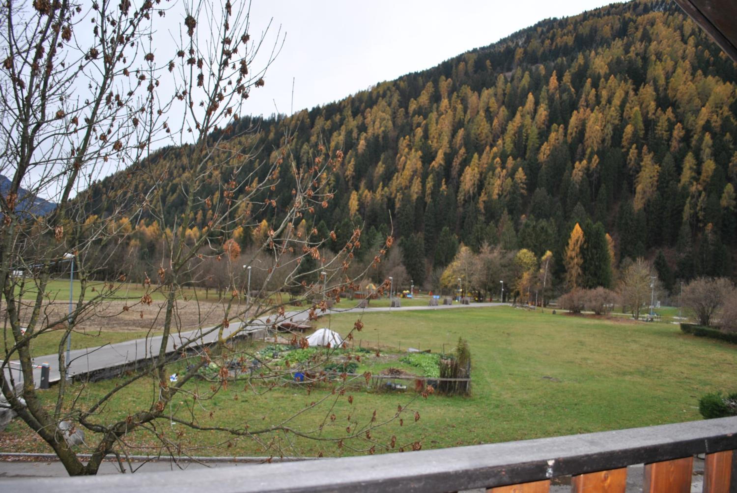 Photo 20