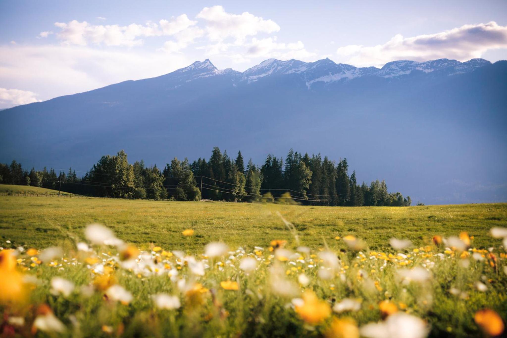 The Kootenay Lake House - A Private Luxury Retreat